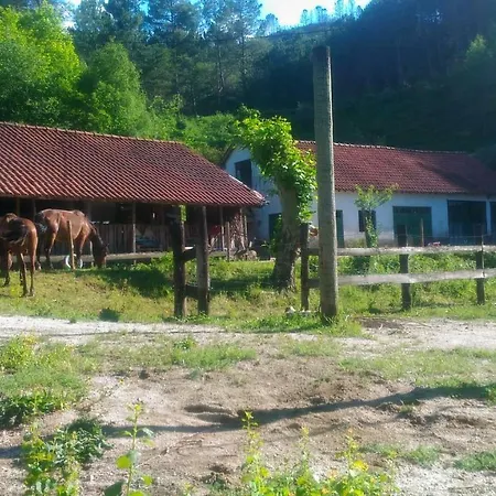 Gæstehus Casa Velha *